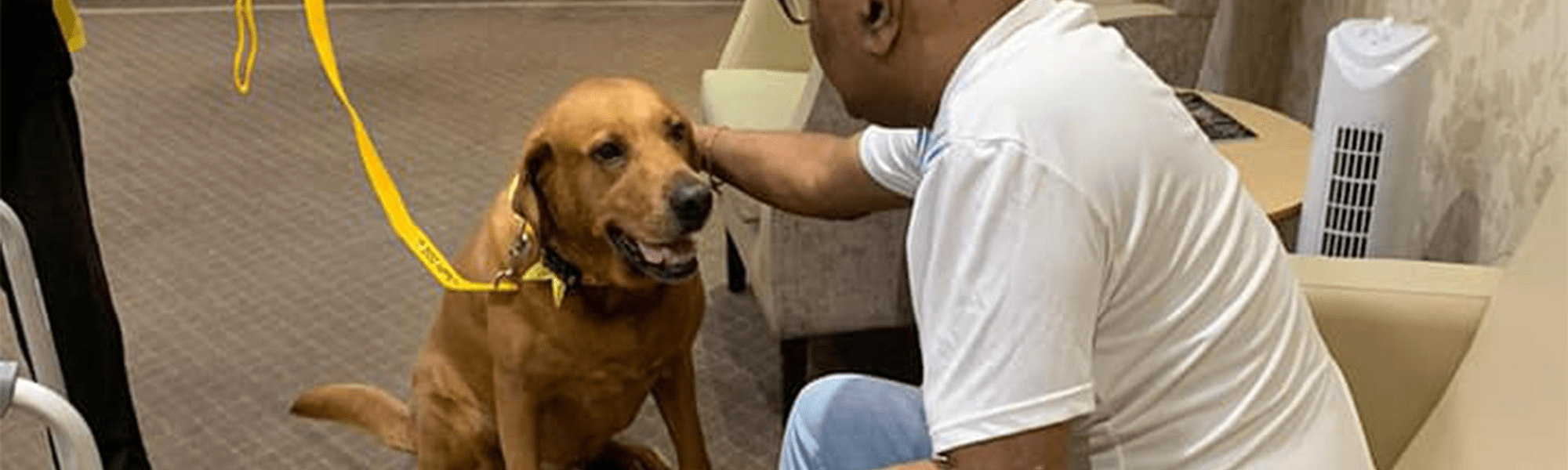 Lavender Lodge therapy dog